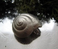 /album/www-glanzbruch-ch/schneckenhaus-gross-jpg/